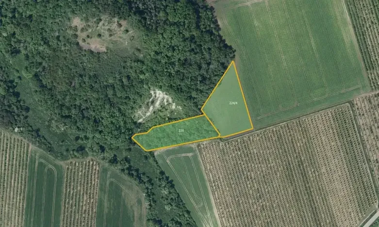 Prodej sadu/vinice, Želkovice, 133318 m2