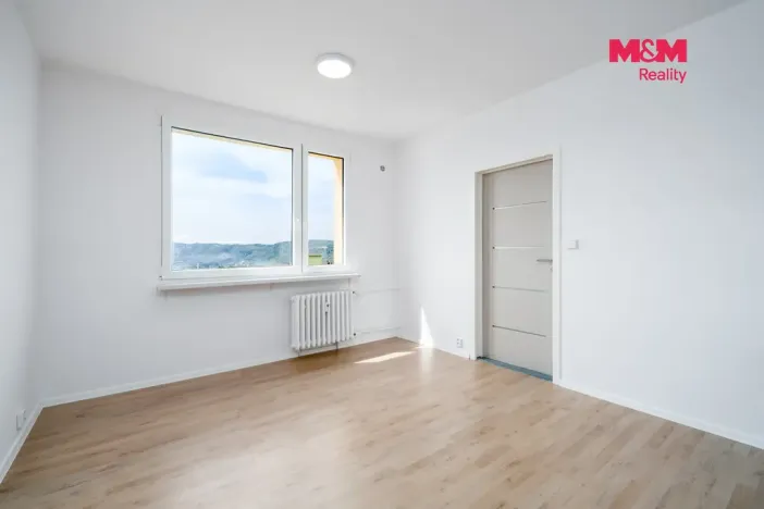 Prodej bytu 1+1, Ústí nad Labem, Kmochova, 33 m2
