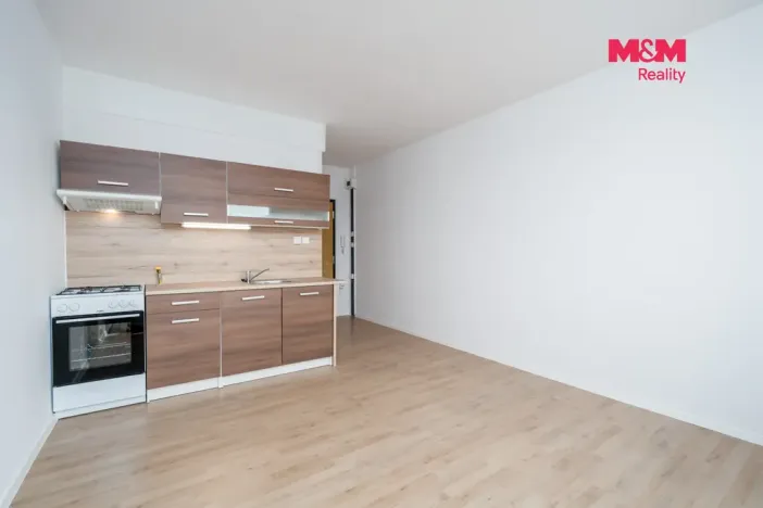 Prodej bytu 1+1, Ústí nad Labem, Kmochova, 33 m2