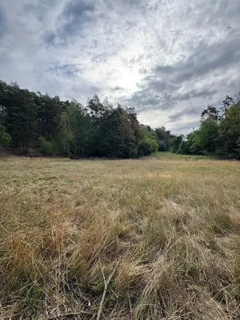 Prodej pozemku pro bydlení, Vlčatín, 56720 m2