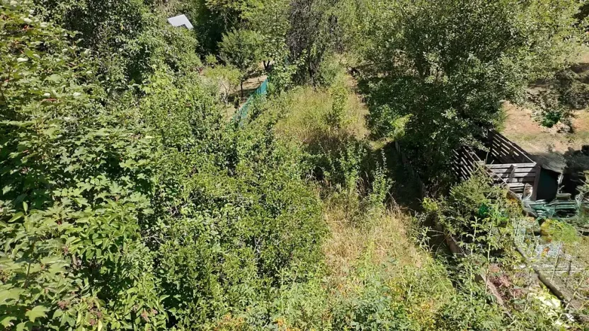 Prodej zahrady, Třebíč, Poušov, 283 m2