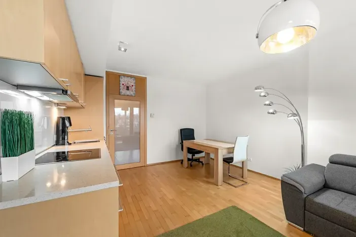 Prodej bytu 2+kk, Praha - Žižkov, Pitterova, 52 m2