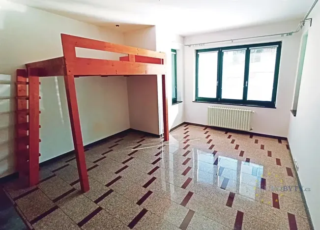 Pronájem bytu 1+kk, Praha - Podolí, Pravá, 35 m2