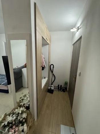 Pronájem bytu 1+1, Hranice - Hranice I-Město, Hromůvka, 25 m2