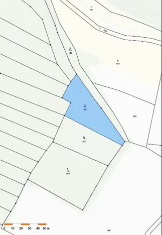 Prodej lesa, Mladoňovice, 2352 m2