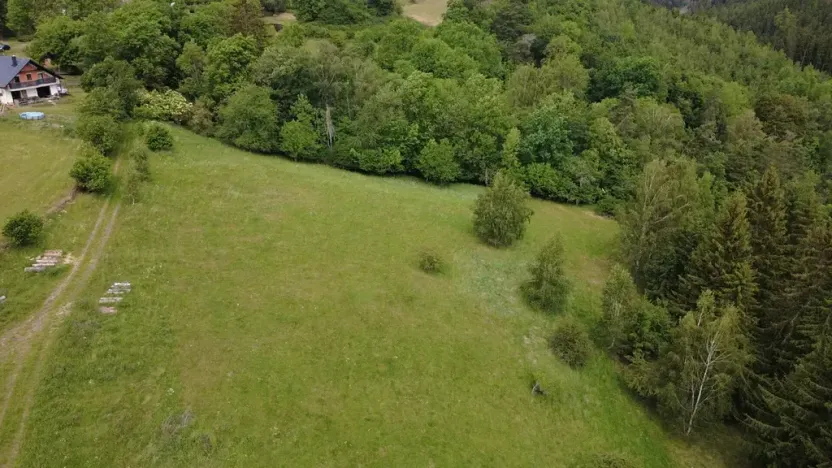Prodej pozemku pro bydlení, Planá, 1435 m2