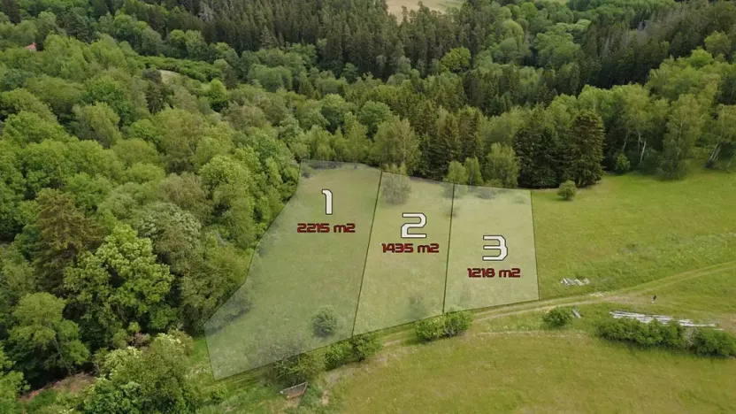 Prodej pozemku pro bydlení, Planá, 1218 m2