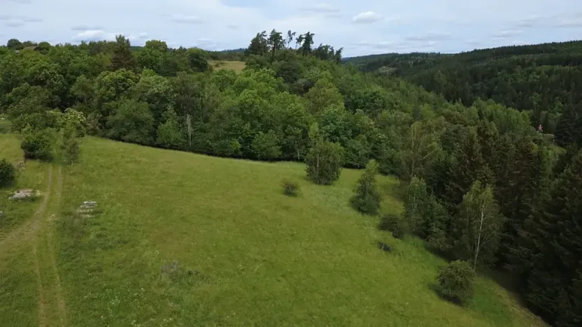 Prodej pozemku pro bydlení, Planá, 1218 m2