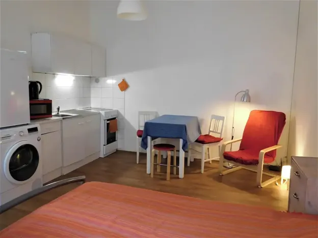 Pronájem bytu 1+kk, Brno, Pekařská, 20 m2