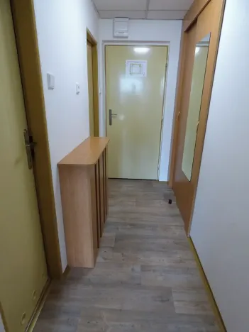Pronájem bytu 1+kk, Brno, Heršpická, 23 m2
