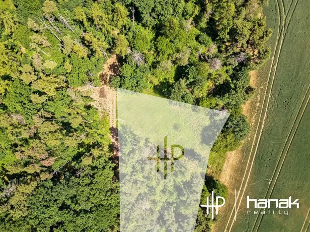 Prodej pozemku pro bydlení, Hluchov, 3150 m2