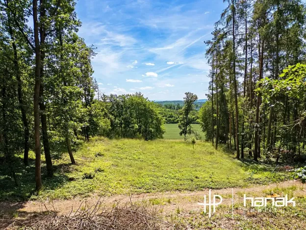 Prodej pozemku pro bydlení, Hluchov, 3150 m2