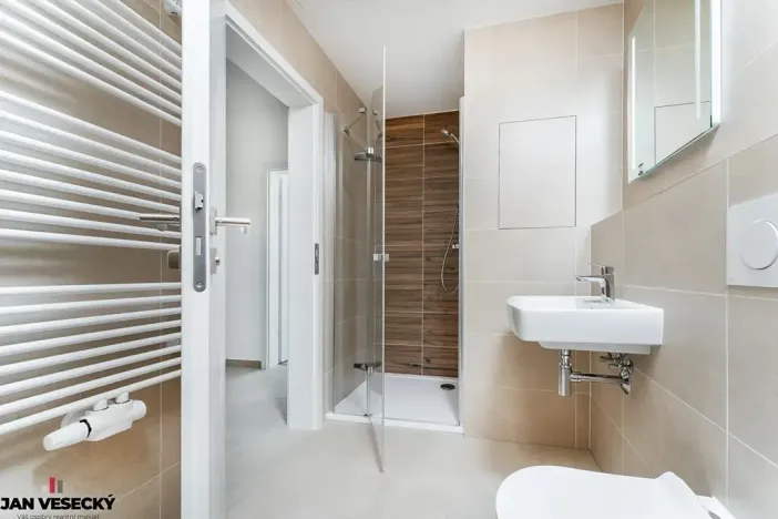 Prodej bytu 1+kk, Plzeň, Železná, 37 m2