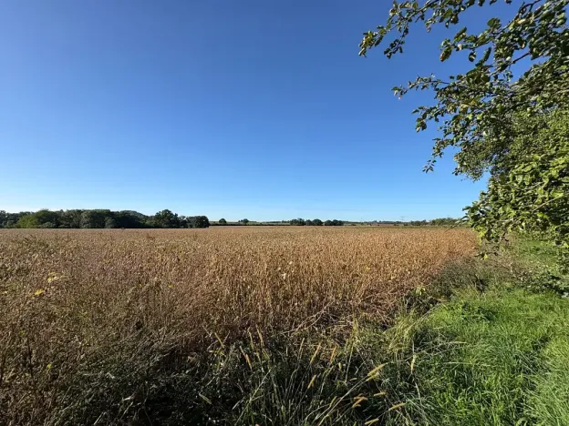 Prodej pozemku pro bydlení, Chocnějovice, 5680 m2