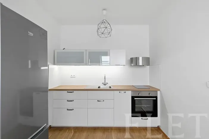 Pronájem bytu 1+kk, Praha - Nusle, Slavojova, 34 m2