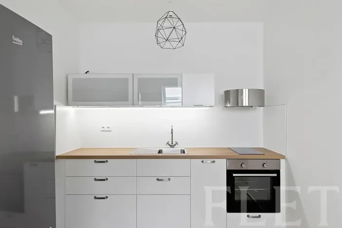 Pronájem bytu 1+kk, Praha - Nusle, Slavojova, 34 m2