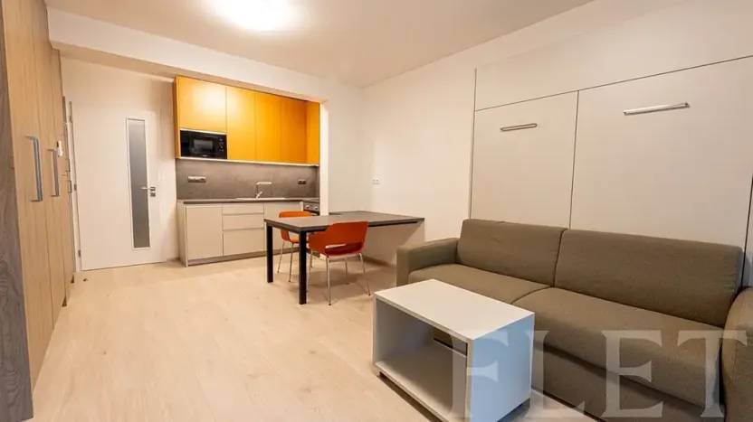 Pronájem bytu 1+kk, Praha - Žižkov, Hartigova, 36 m2