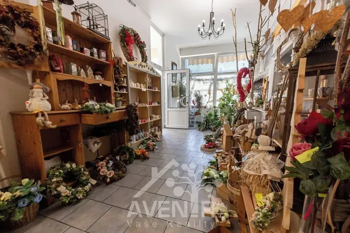 Prodej komerční nemovitosti, Ratíškovice, Vítězná, 329 m2