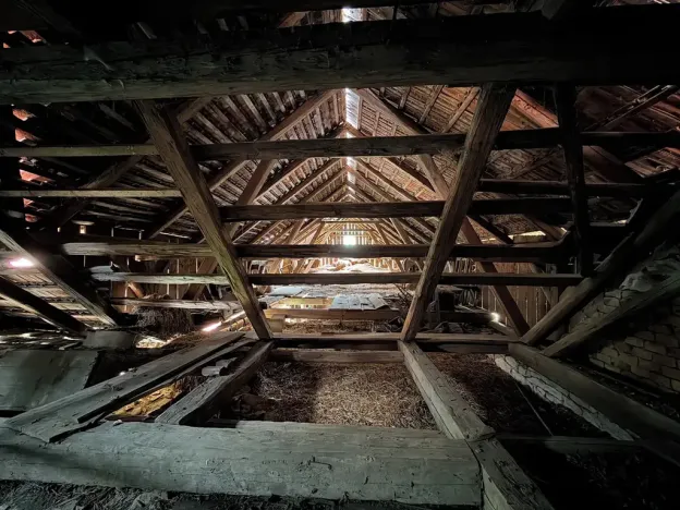Prodej zemědělské usedlosti, Trstěnice, 60 m2