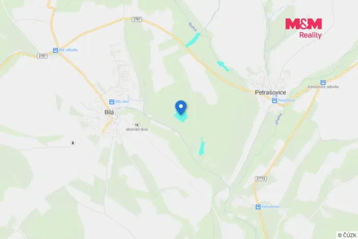 Prodej lesa, Bílá, 11944 m2