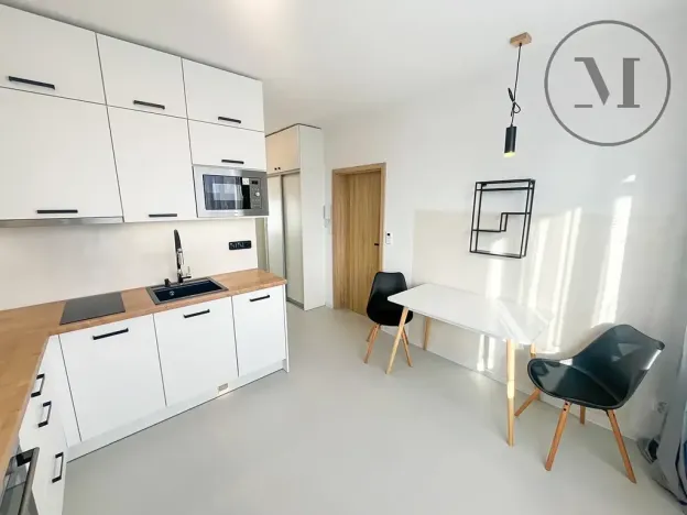Pronájem bytu 1+1, České Budějovice, Puklicova, 41 m2