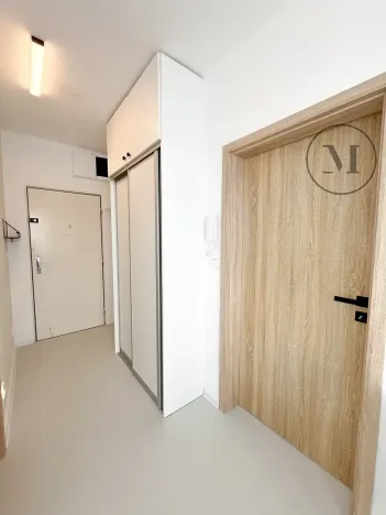 Pronájem bytu 1+1, České Budějovice, Puklicova, 41 m2