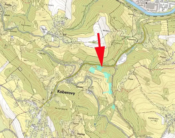 Prodej lesa, Železný Brod, 437 m2