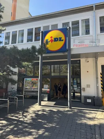 Pronájem bytu 1+1, Brno, Kotlářská, 49 m2