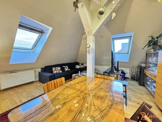 Pronájem bytu 2+kk, Praha - Bubeneč, Národní obrany, 126 m2