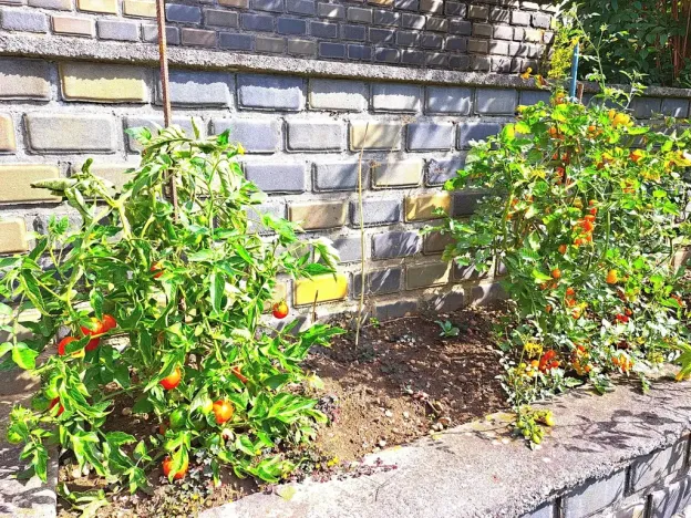 Prodej chaty, Zlín, 70 m2