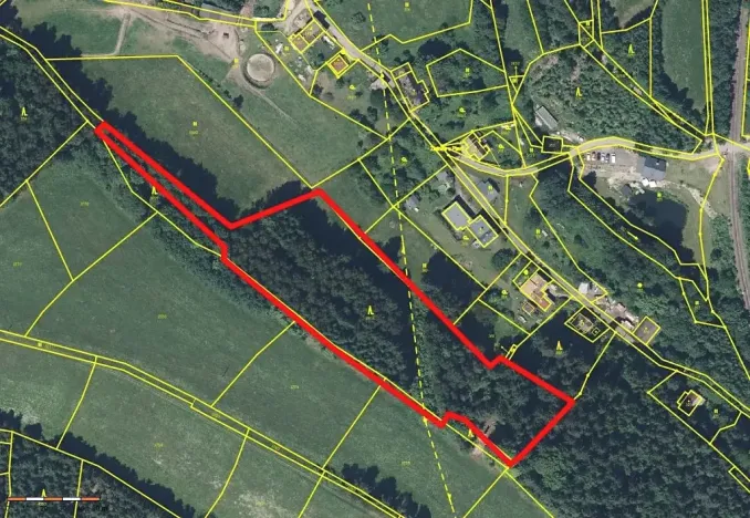 Prodej lesa, Plavy, 9899 m2