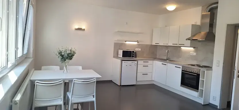 Pronájem bytu 1+kk, Brno, Stará, 46 m2