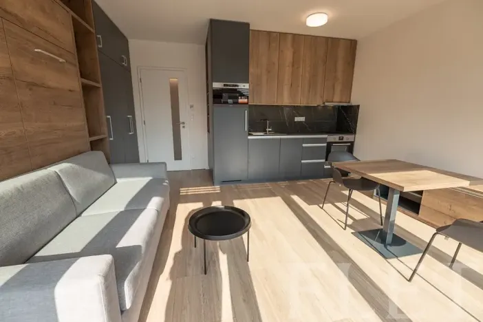 Pronájem bytu 1+kk, Praha - Holešovice, V háji, 34 m2