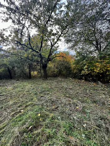 Prodej rodinného domu, Praha - Koloděje, Solnická, 300 m2