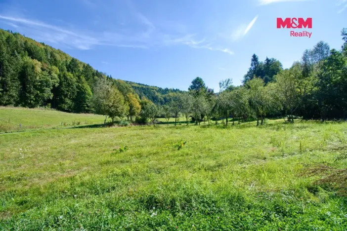 Prodej louky, Nový Hrozenkov, 2068 m2