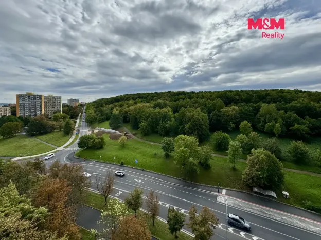 Prodej bytu 1+kk, Most, Brněnská, 34 m2