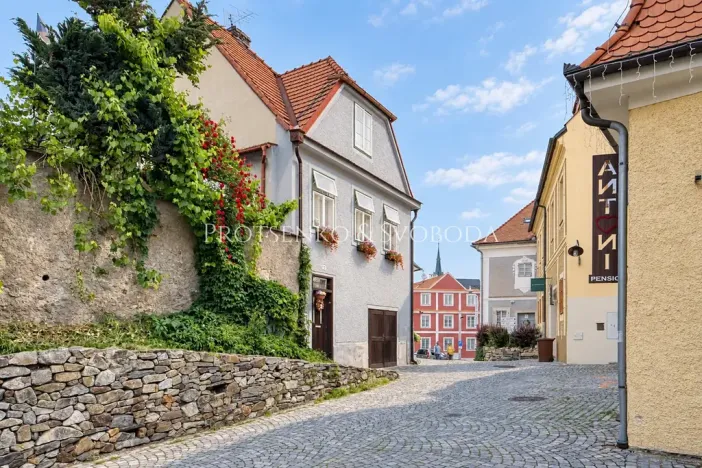 Prodej vícegeneračního domu, Český Krumlov, Horská, 469 m2