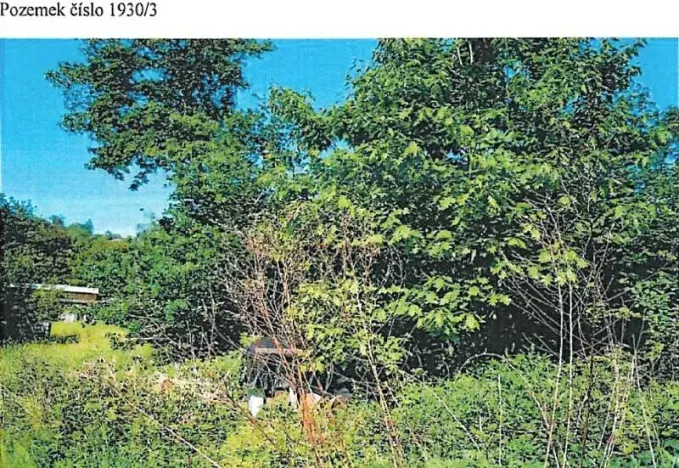 Prodej lesa, Chotěboř, 86 m2