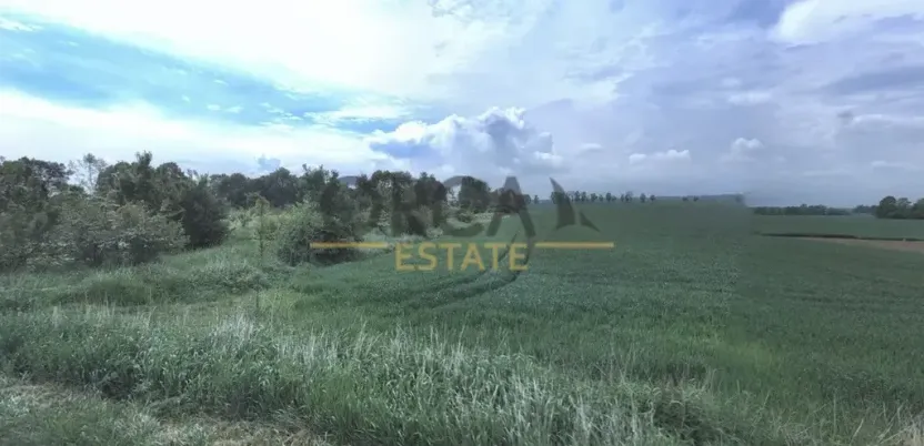 Prodej pole, Uherský Ostroh, 552 m2