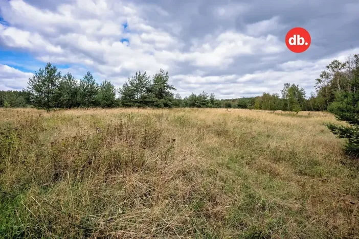 Prodej pozemku pro bydlení, Sadov, 3921 m2