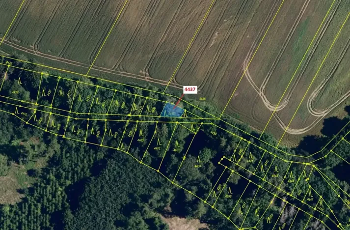 Dražba lesa, Lukovany, 110 m2