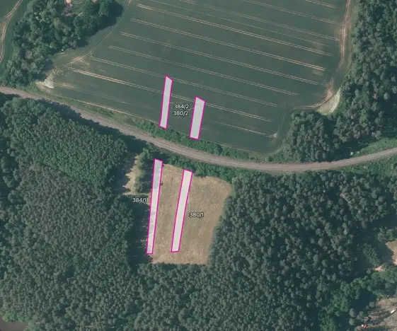 Prodej pole, Mladotice, 11461 m2