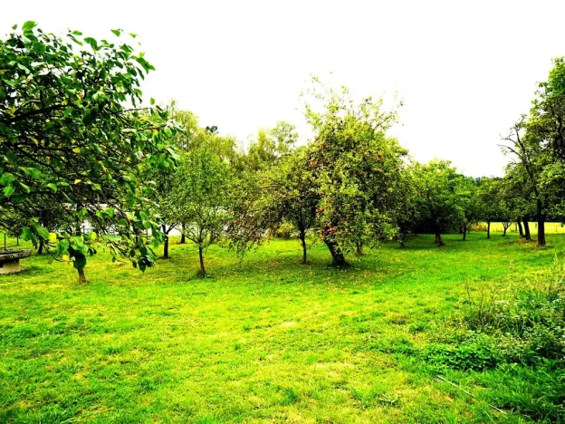 Prodej rodinného domu, Fulnek, 220 m2