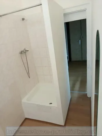 Pronájem bytu 2+kk, Praha - Vinohrady, 43 m2