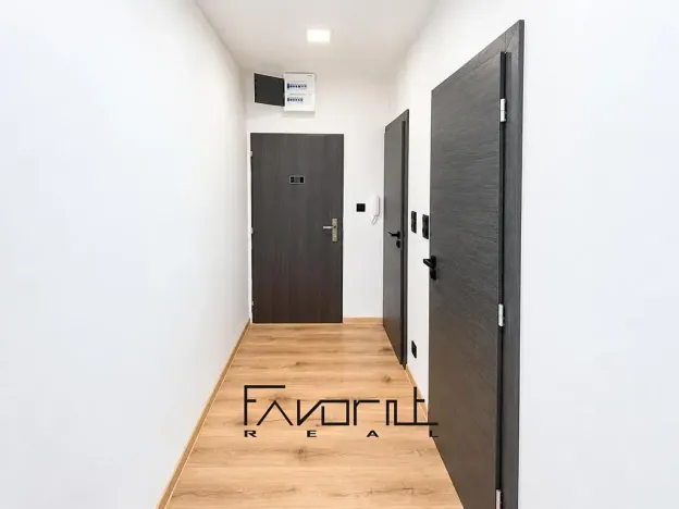 Pronájem bytu 1+kk, Ostrava, Alberta Kučery, 60 m2