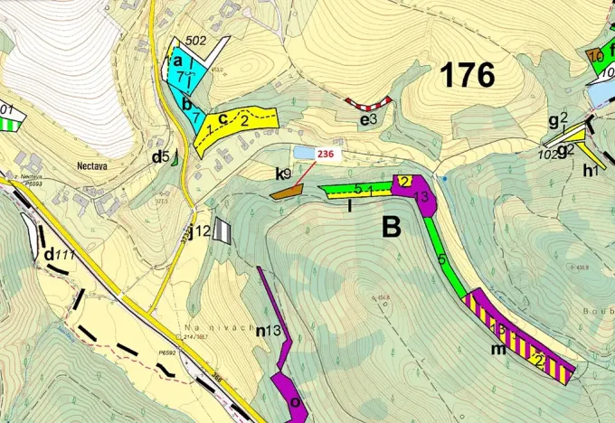 Dražba lesa, Březinky, 813 m2
