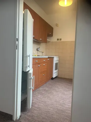 Pronájem bytu 2+1, Praha, V olšinách, 45 m2