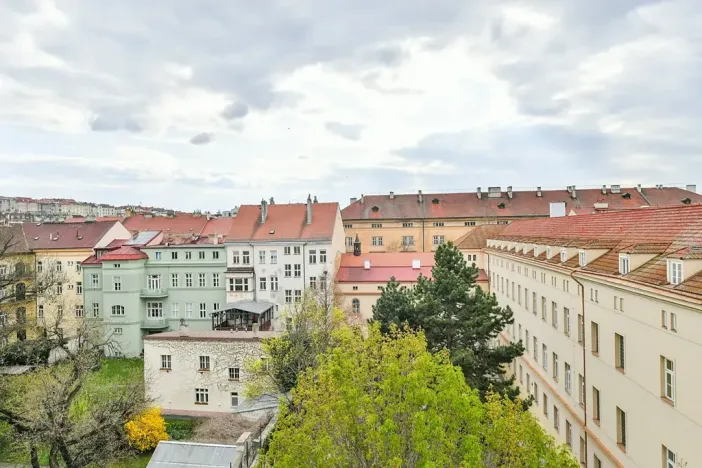 Prodej bytu 3+kk, Praha - Karlín, Peckova, 93 m2
