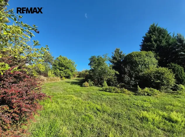 Prodej vícegeneračního domu, Letovice, Pražská, 330 m2