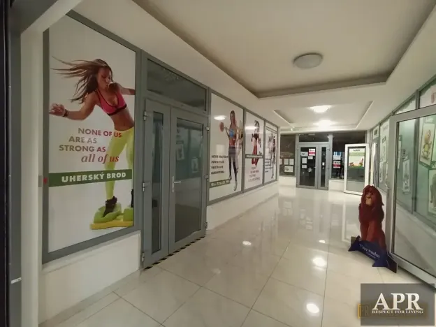 Pronájem obchodního prostoru, Uherský Brod, Bří Lužů, 150 m2